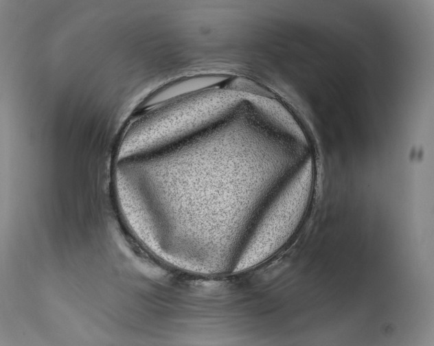 X0000111640107200908071352
