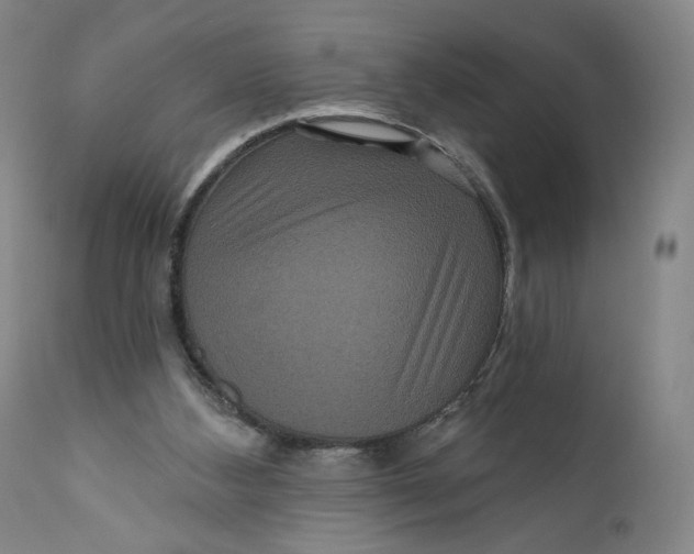 X0000111640108200908071352