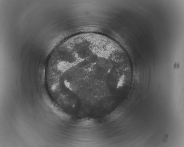 X0000111640110200908071352