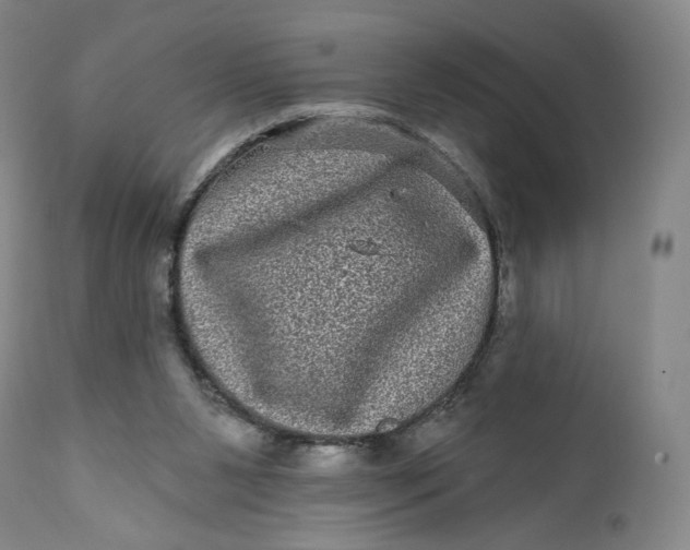 X0000111640111200908071352
