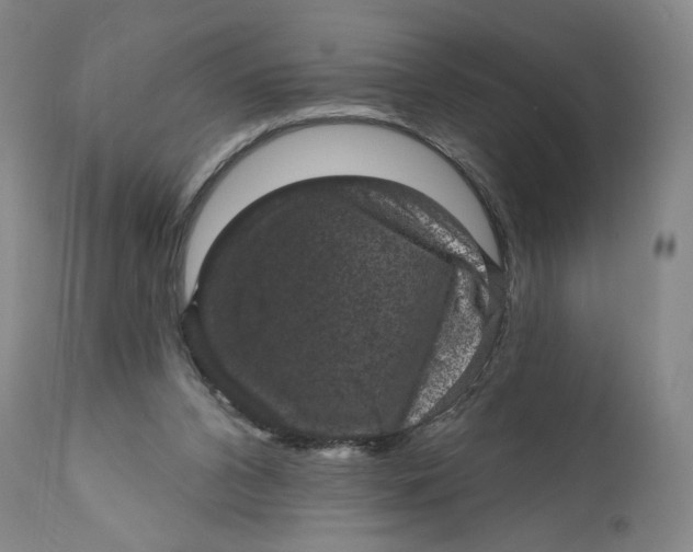X0000111640112200908071352