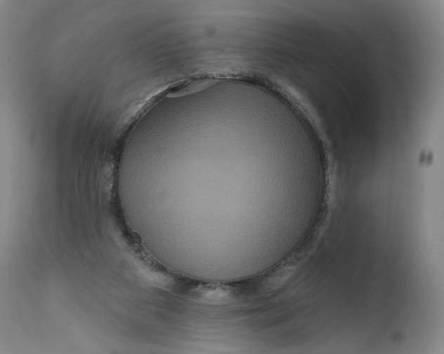 X0000111640113200908071352