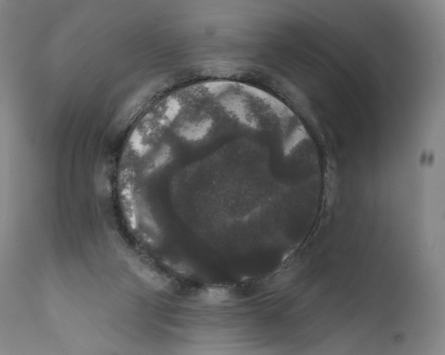 X0000111640114200908071352