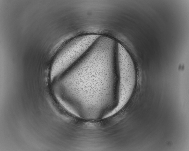 X0000111640115200908071352