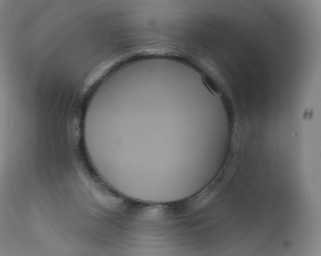 X0000111640116200908071352
