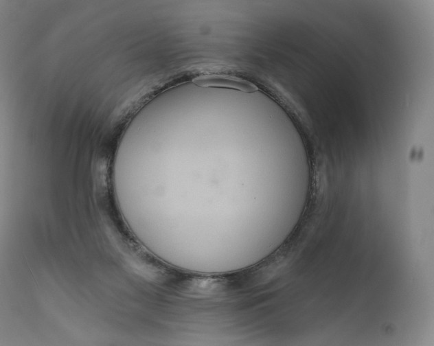 X0000111640117200908071352