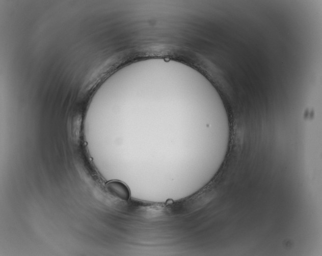 X0000111640118200908071352