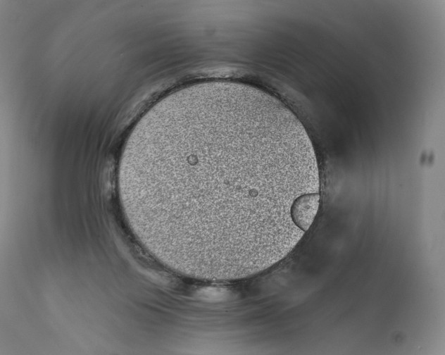 X0000111640119200908071352