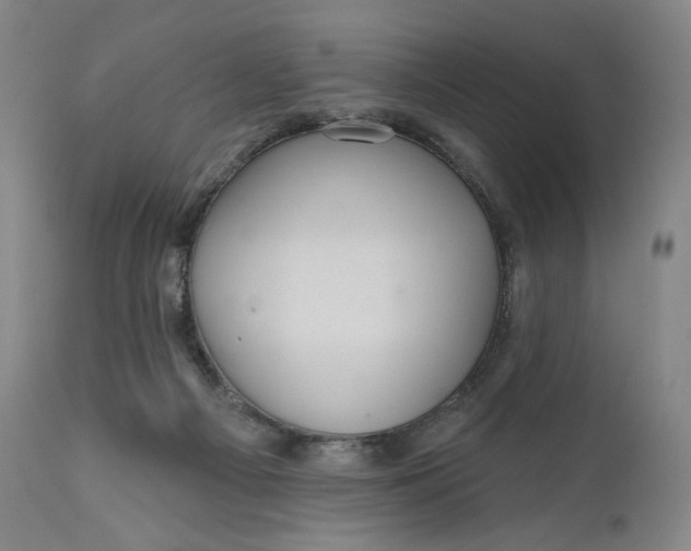 X0000111640121200908071352