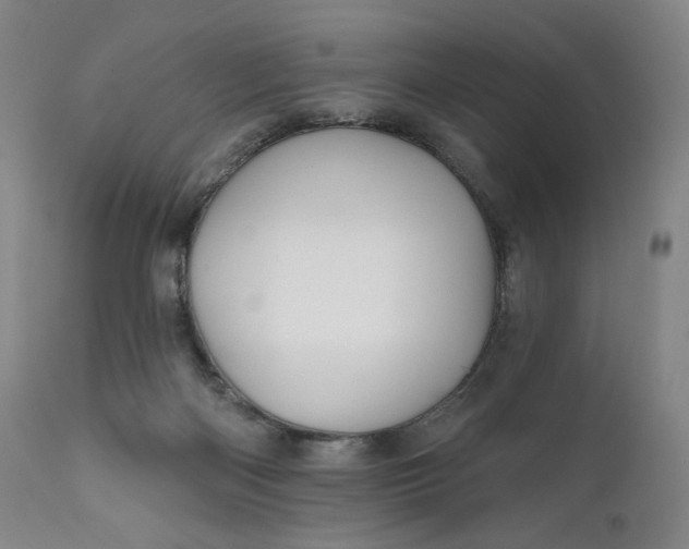 X0000111640122200908071352