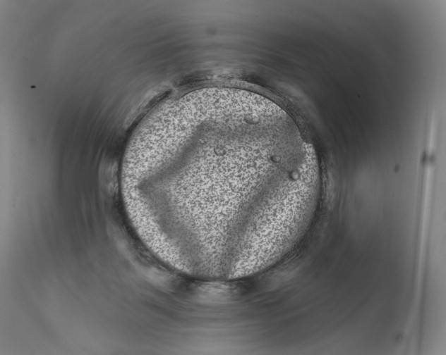 X0000111640123200908071352