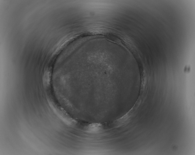X0000111640124200908071352
