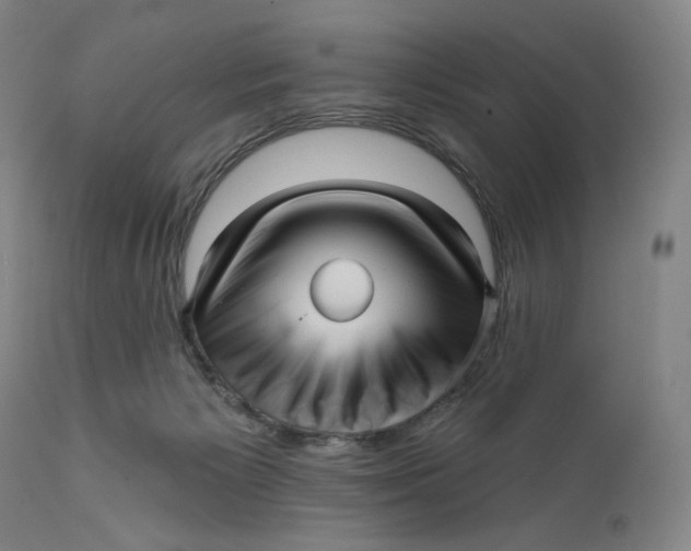 X0000111640125200908071352