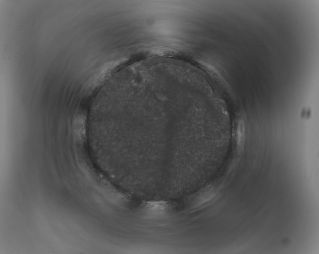 X0000111640127200908071352