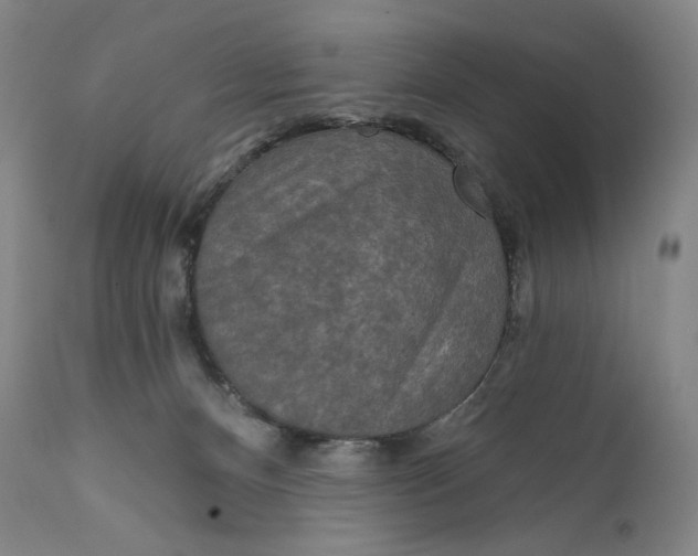 X0000111640128200908071352