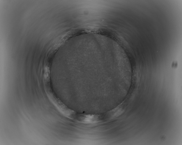 X0000111640130200908071352