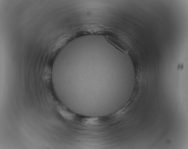 X0000111640132200908071352