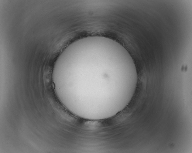 X0000111640133200908071352