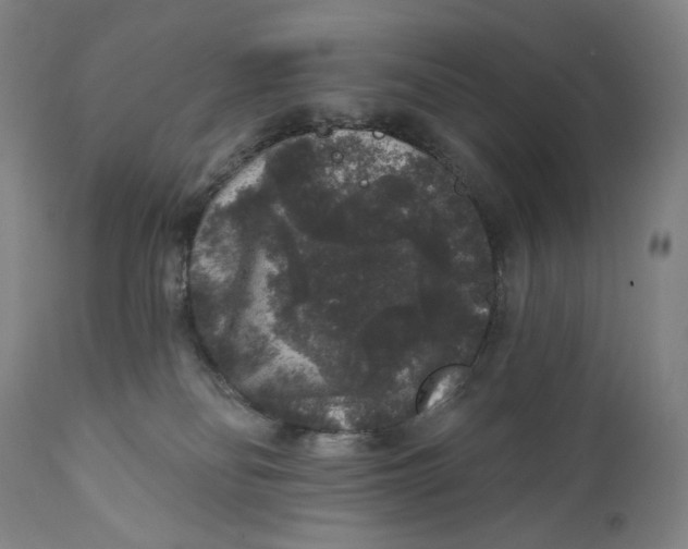 X0000111640134200908071352