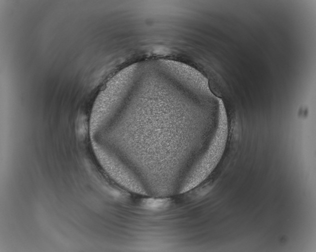 X0000111640135200908071352