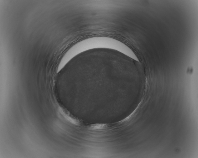X0000111640136200908071352