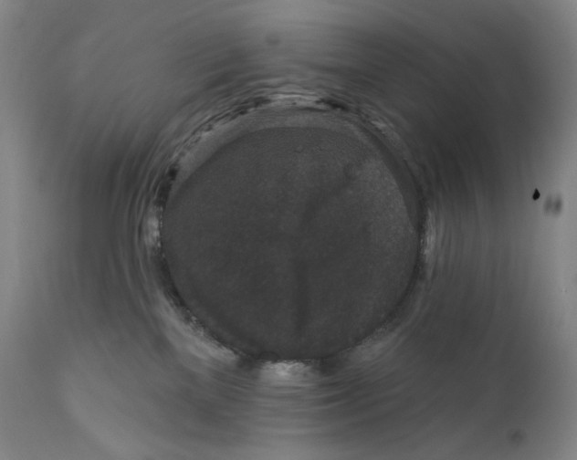 X0000111640137200908071352