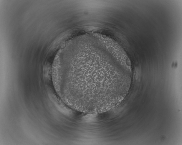 X0000111640138200908071352