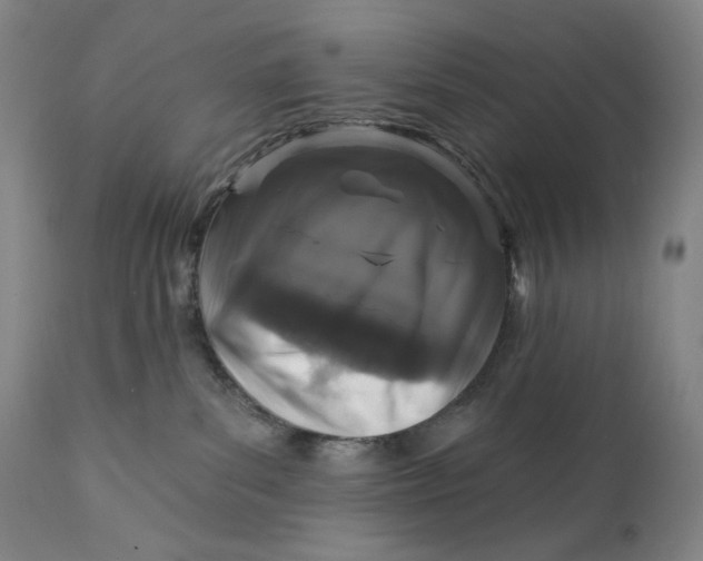 X0000111640139200908071352