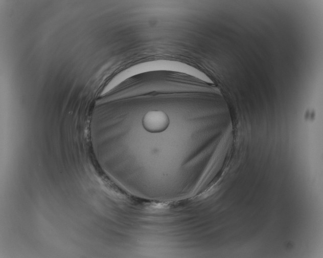 X0000111640140200908071352