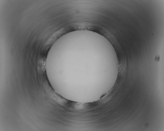 X0000111640142200908071352