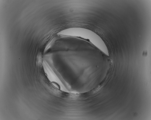 X0000111640143200908071352