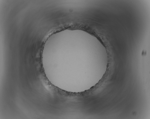 X0000111640144200908071352