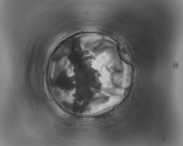 X0000111640145200908071351