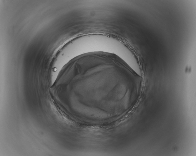 X0000111640146200908071351