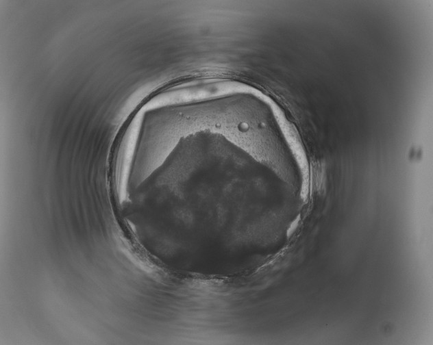 X0000111640147200908071351