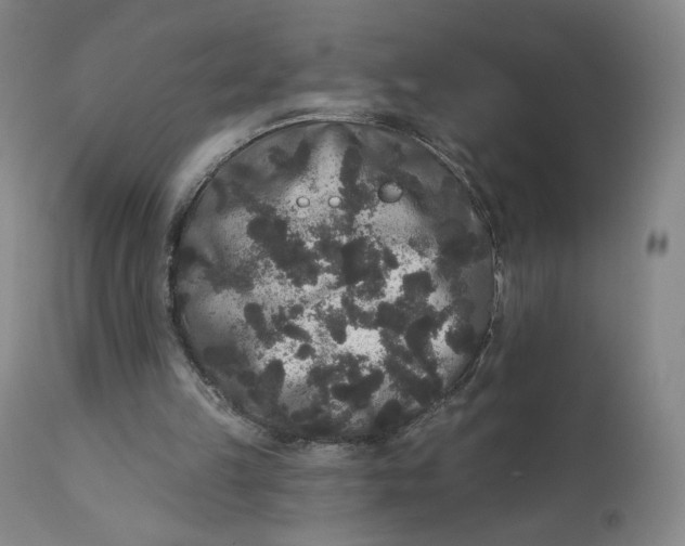 X0000111640149200908071351