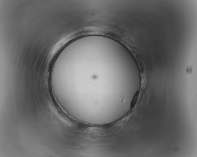 X0000111640150200908071351