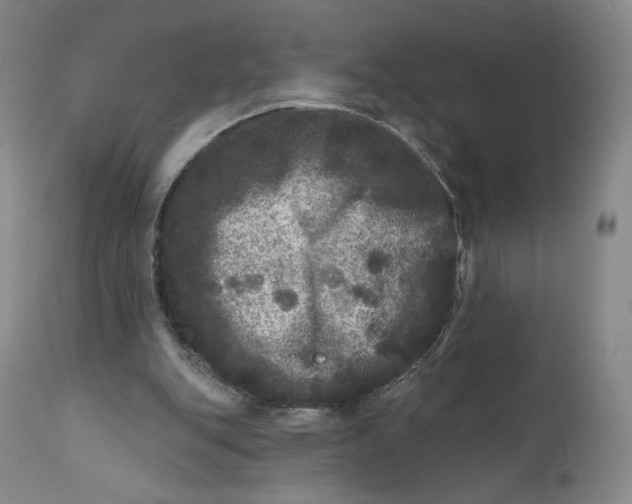 X0000111640151200908071351