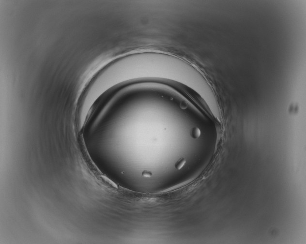 X0000111640152200908071351