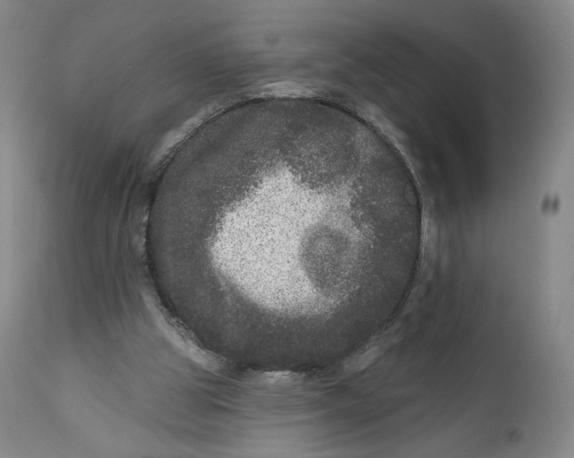 X0000111640153200908071351