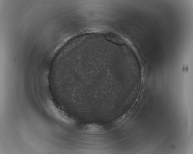 X0000111640154200908071351