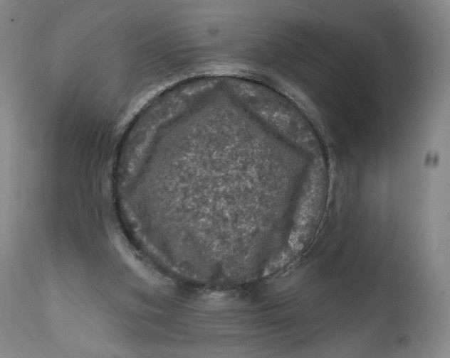 X0000111640155200908071351