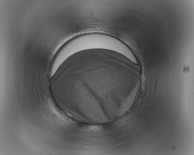 X0000111640156200908071351