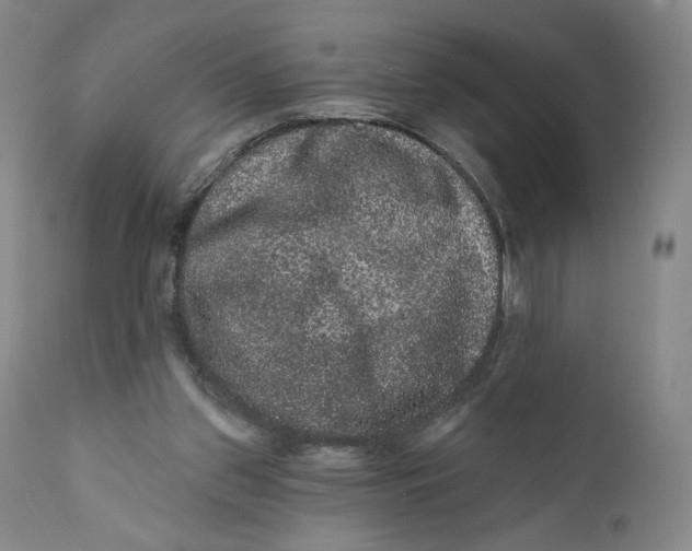 X0000111640157200908071351