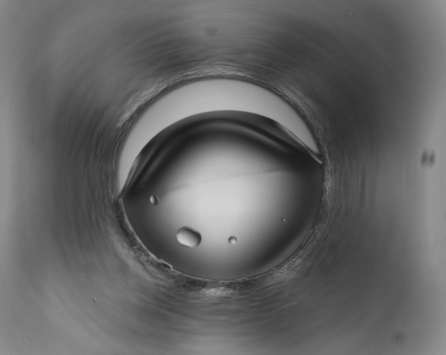 X0000111640158200908071351