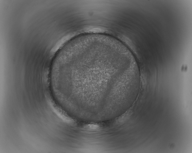 X0000111640159200908071351