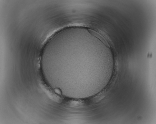 X0000111640160200908071351
