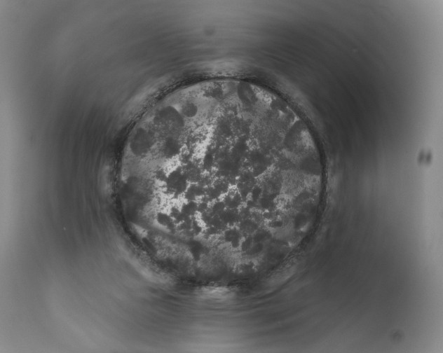 X0000111640161200908071351