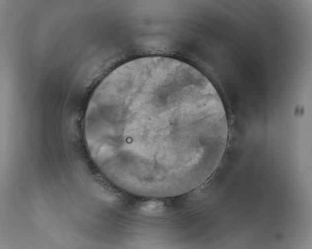 X0000111640162200908071351