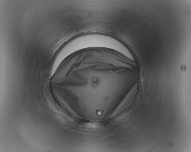 X0000111640164200908071351